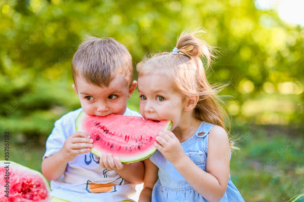 Two kids eating one slice of watermelon in the garden. Kids eat fruit outdoors. Healthy snack for children. 2 years old girl and boy enjoying watermelon.